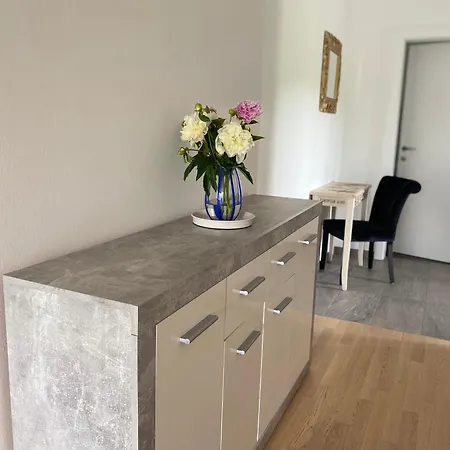 Apartmán Burgblick Haus Fux-immo, 10min Zum Skifahren, 10 Min Zum See, Rundherum Wandern Und Radeln *